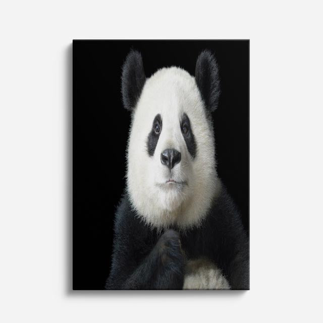 cuadro canvas vida salvaje panda amigable vertical