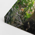 cuadro canvas vida salvaje panda en rama vertical