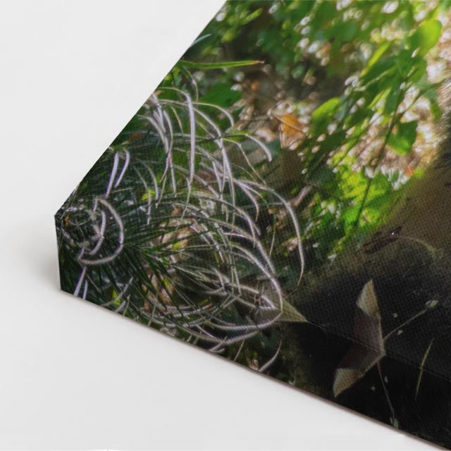 cuadro canvas vida salvaje panda en rama vertical