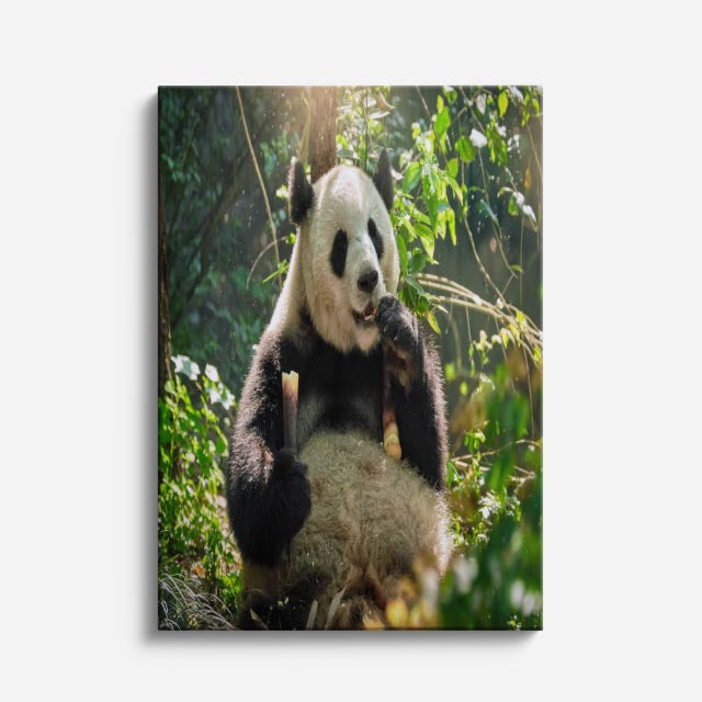 cuadro canvas vida salvaje panda en rama vertical