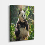 cuadro canvas vida salvaje panda en rama vertical