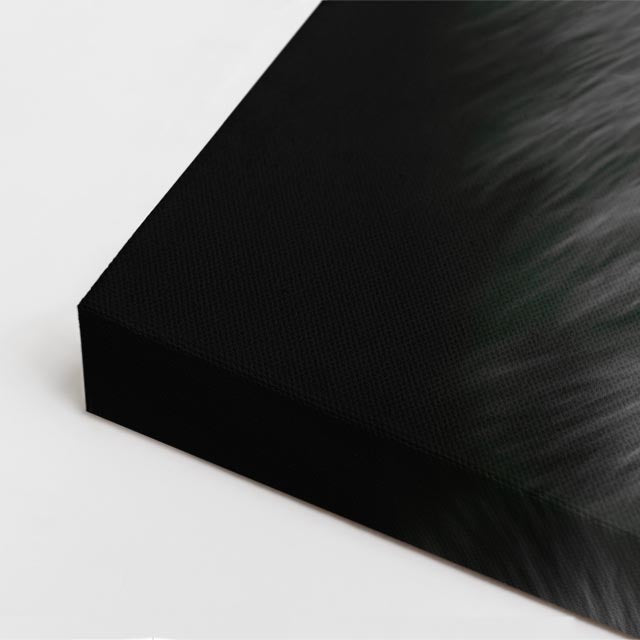 cuadro canvas vida salvaje lince plateado vertical