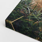 cuadro canvas vida salvaje zorro curioso vertical