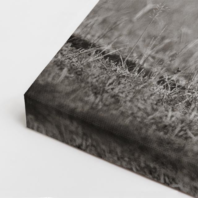 cuadro canvas vida salvaje rinoceronte blanco vertical