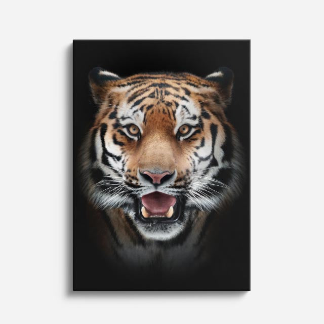cuadro canvas vida salvaje tigre rugiente vertical