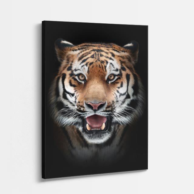 cuadro canvas vida salvaje tigre rugiente vertical