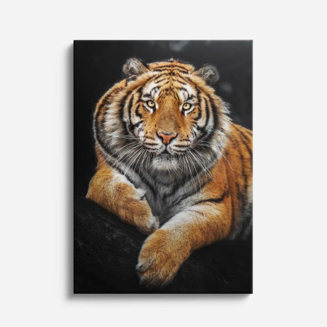 cuadro canvas vida salvaje tigre majestuoso vertical