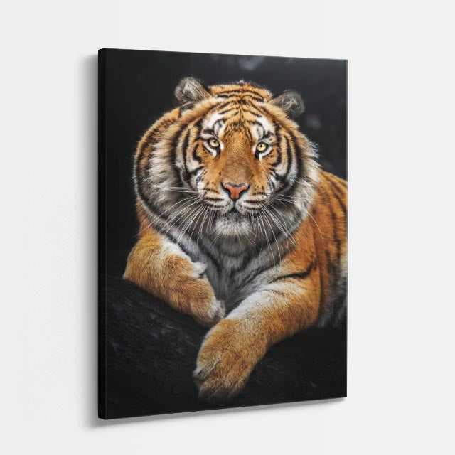 cuadro canvas vida salvaje tigre majestuoso vertical