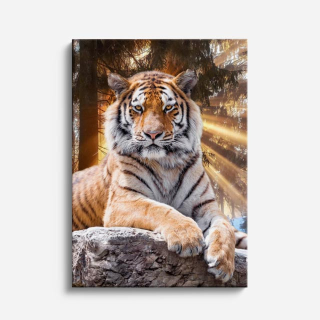 cuadro canvas vida salvaje tigre real vertical