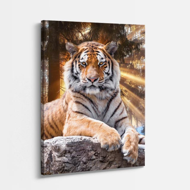 cuadro canvas vida salvaje tigre real vertical