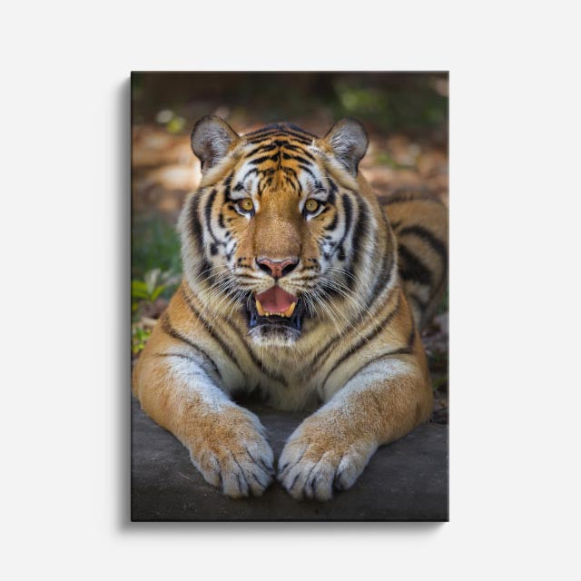 cuadro canvas vida salvaje tigre del bosque vertical