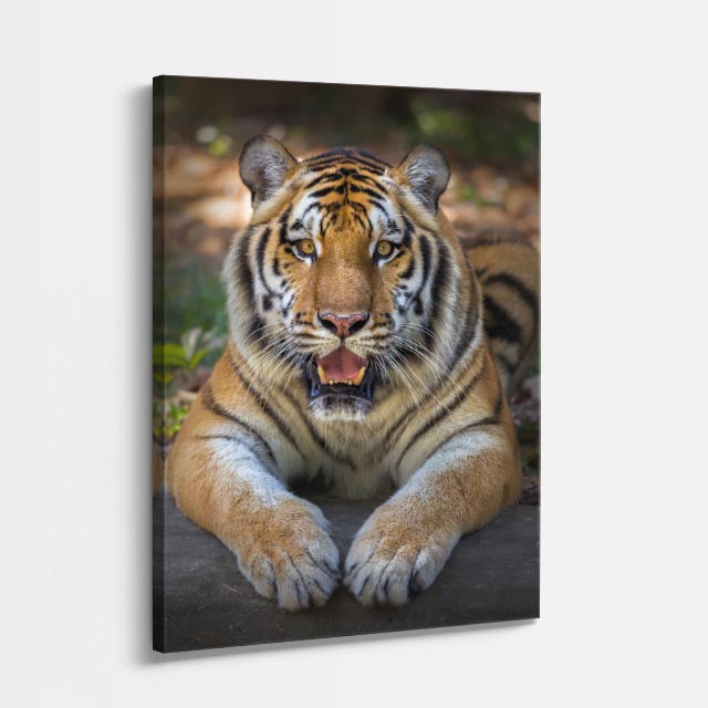 cuadro canvas vida salvaje tigre del bosque vertical