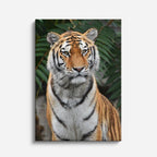 cuadro canvas vida salvaje tigre sereno vertical