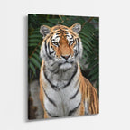cuadro canvas vida salvaje tigre sereno vertical