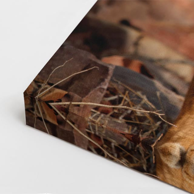 cuadro canvas vida salvaje tigre en jungla vertical