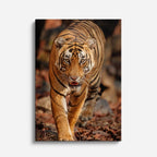 cuadro canvas vida salvaje tigre en jungla vertical