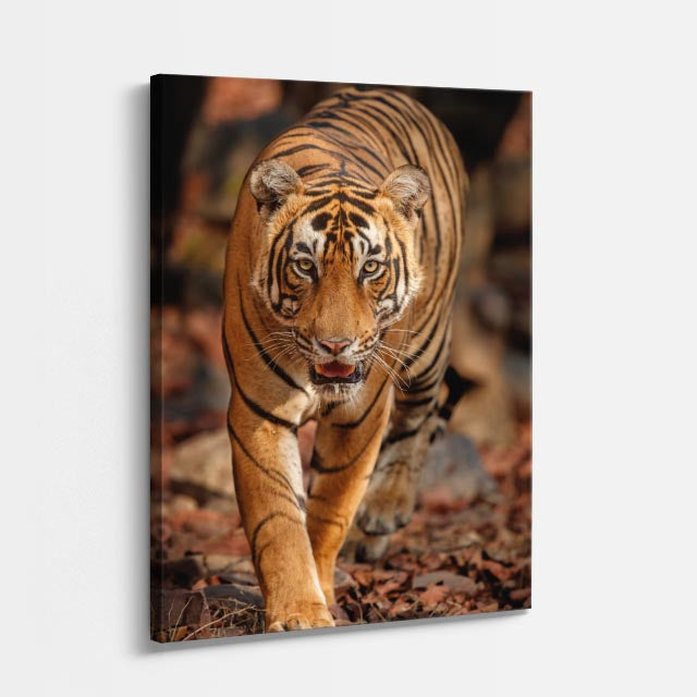 cuadro canvas vida salvaje tigre en jungla vertical