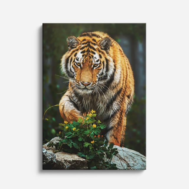 cuadro canvas vida salvaje tigre observador vertical