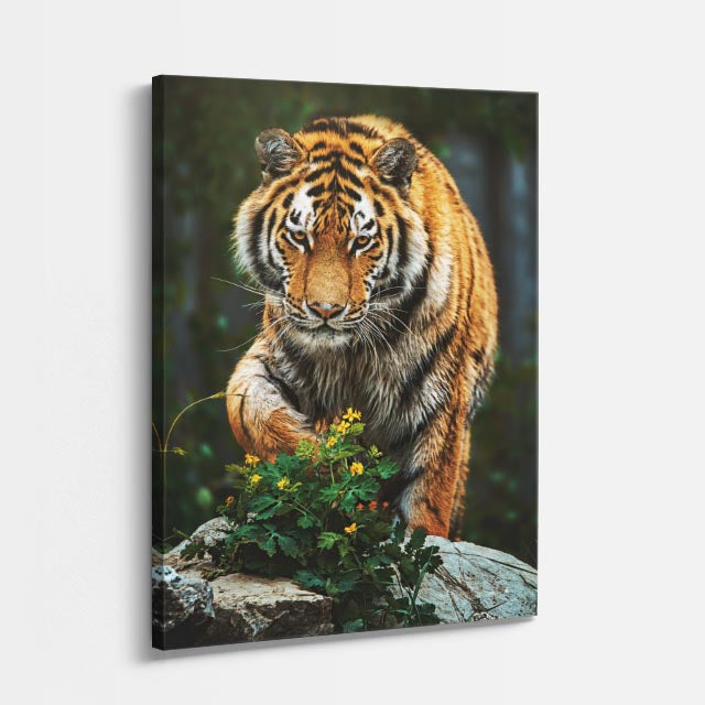 cuadro canvas vida salvaje tigre observador vertical