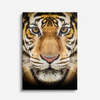 cuadro canvas vida salvaje tigre retrato vertical