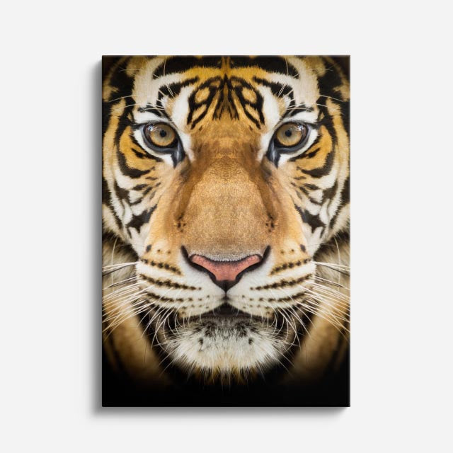 cuadro canvas vida salvaje tigre retrato vertical