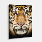 cuadro canvas vida salvaje tigre retrato vertical