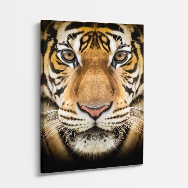 cuadro canvas vida salvaje tigre retrato vertical