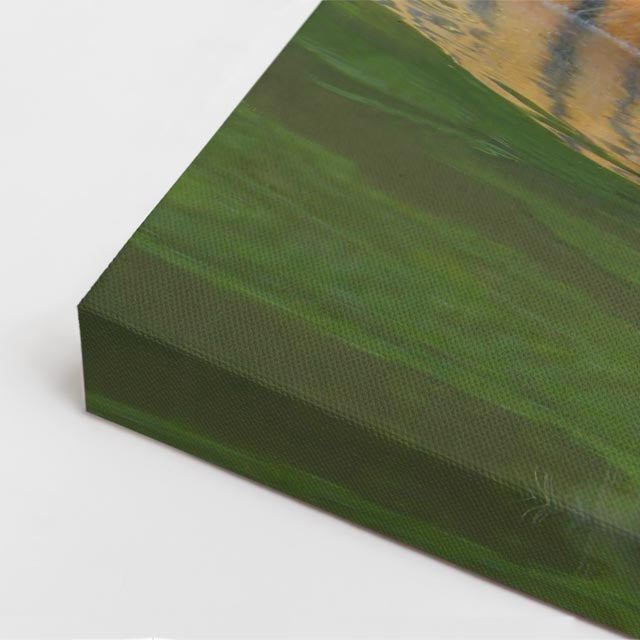 cuadro canvas vida salvaje tigre del río vertical