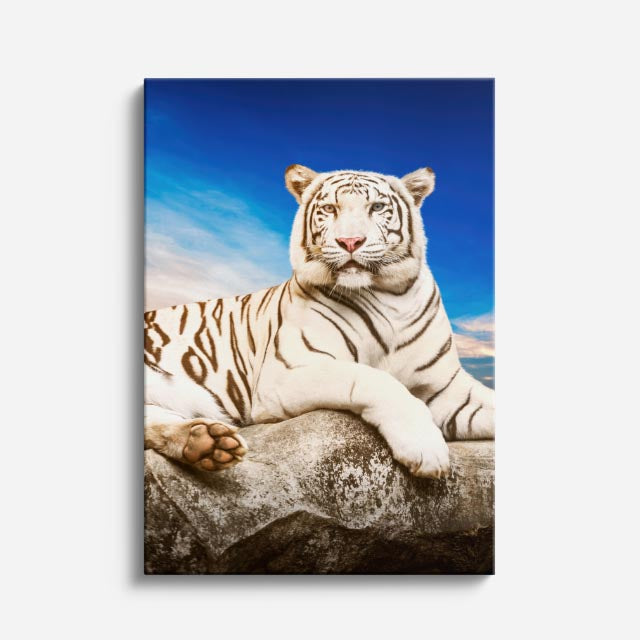 cuadro canvas vida salvaje tigre blanco real vertical