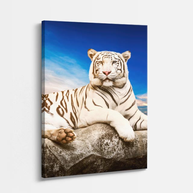 cuadro canvas vida salvaje tigre blanco real vertical