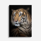 cuadro canvas vida salvaje tigre clásico vertical