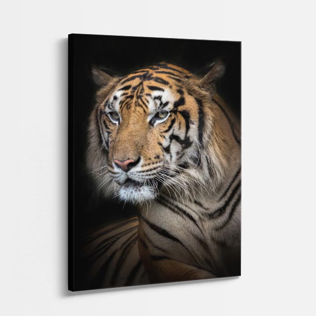 cuadro canvas vida salvaje tigre clásico vertical