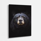 cuadro canvas vida salvaje oso negro vertical