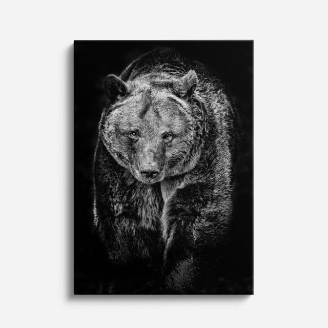 cuadro canvas vida salvaje oso gris vertical