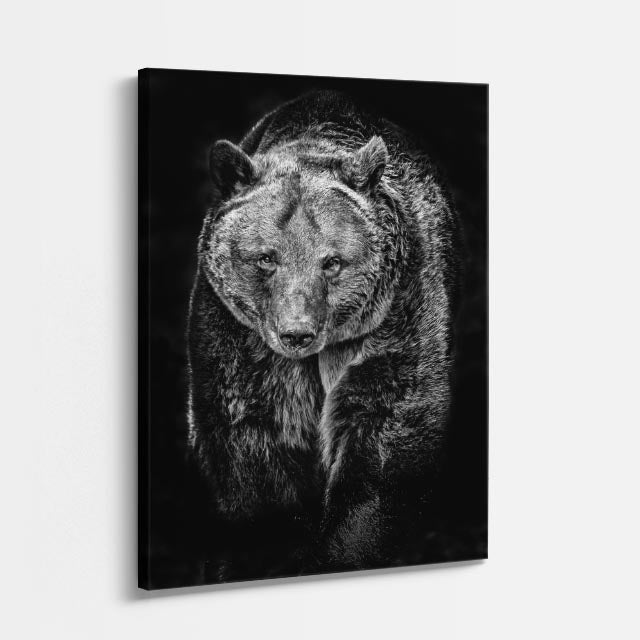 cuadro canvas vida salvaje oso gris vertical