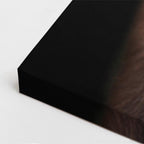 cuadro canvas vida salvaje oso oscuro vertical