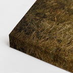 cuadro canvas vida salvaje oso marrón vertical