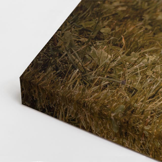 cuadro canvas vida salvaje oso marrón vertical
