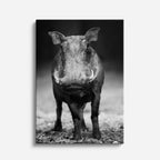 cuadro canvas vida salvaje toro oscuro vertical