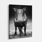 cuadro canvas vida salvaje toro oscuro vertical