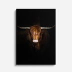cuadro canvas vida salvaje toro de la noche vertical