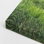 cuadro canvas vida salvaje vacas en pradera vertical