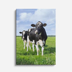 cuadro canvas vida salvaje vacas en pradera vertical