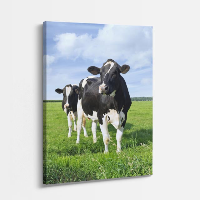 cuadro canvas vida salvaje vacas en pradera vertical