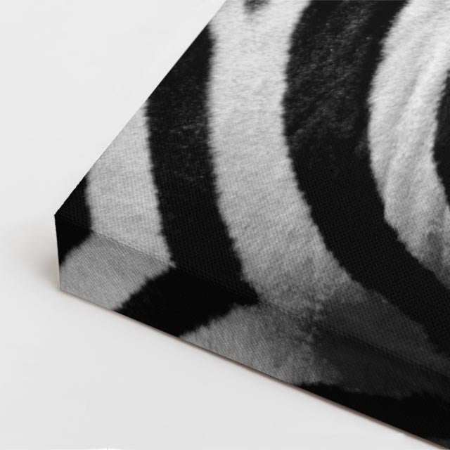 cuadro canvas vida salvaje cebra de ébano vertical