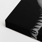cuadro canvas vida salvaje cebra del alba vertical