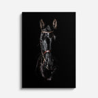 cuadro canvas vida salvaje caballo espejo vertical
