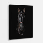 cuadro canvas vida salvaje caballo espejo vertical