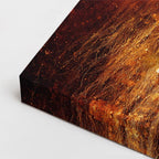 cuadro canvas arte cósmico leones del umbral horizontal