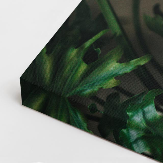 cuadro canvas selva de latte estilo tropical sofisticado